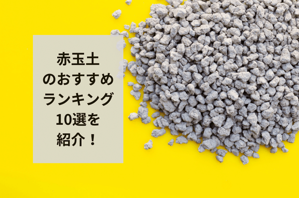 2024年】赤玉土のおすすめランキング10選を紹介！失敗しない使い方まで – 東京寿園