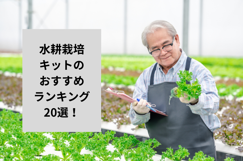 水耕栽培キットのおすすめランキング20選！
