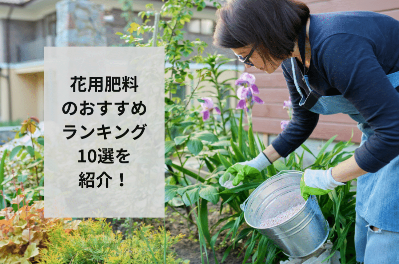 花用肥料 おすすめ