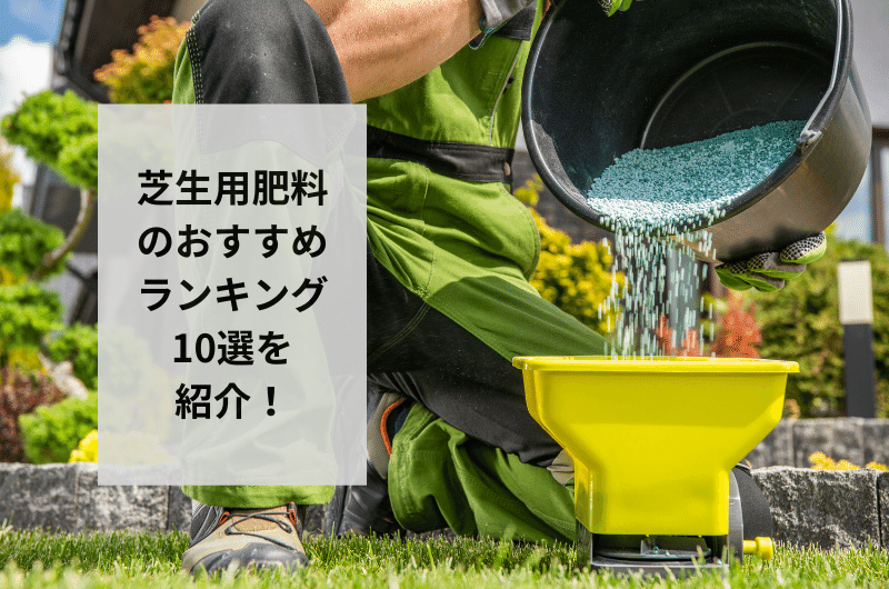 芝生用肥料 おすすめ