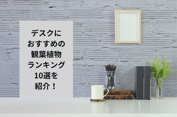 【2025年】デスクに合う観葉植物おすすめランキング10選！失敗しない置き方まで