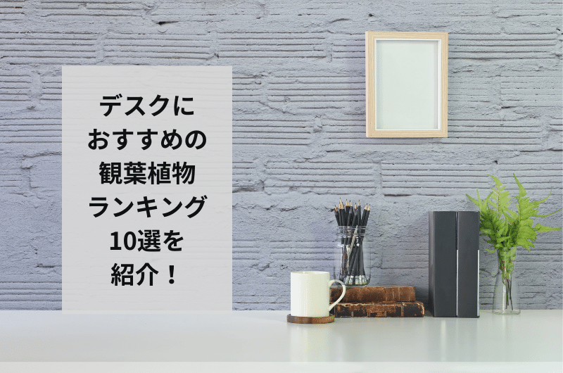 デスク観葉植物　おすすめ