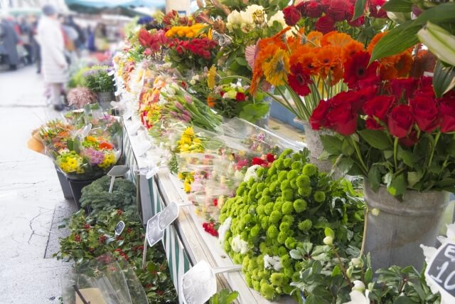 【フラワーデザイナー厳選】北千住にあるおしゃれでおすすめのお花屋さん15選