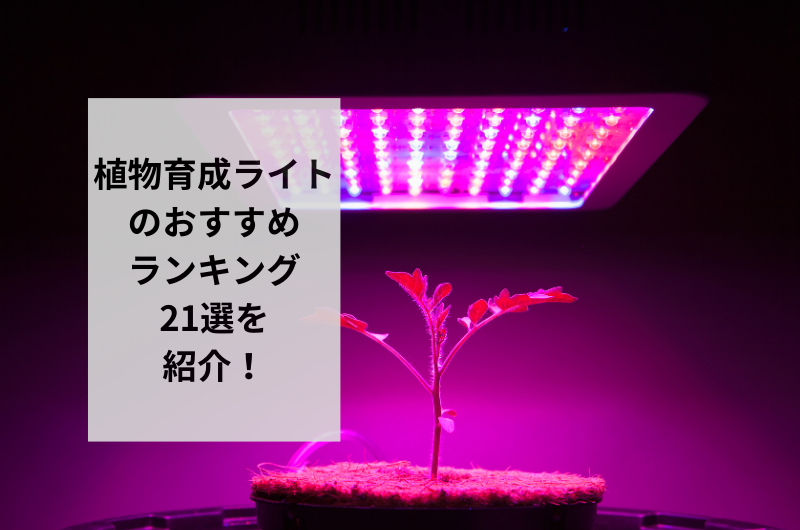 日陰でも観葉植物がすくすくと成長！！おすすめの観葉植物育成ライト21選