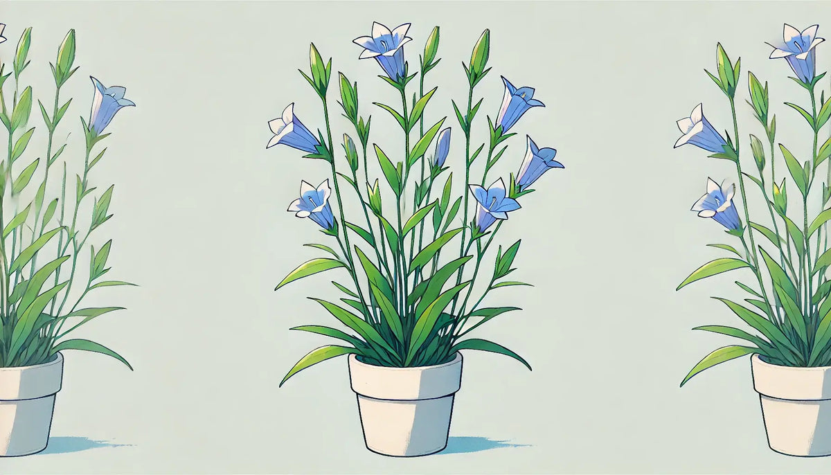リンドウの育て方を紹介！冬越しのポイントから植え替えのしかたまで