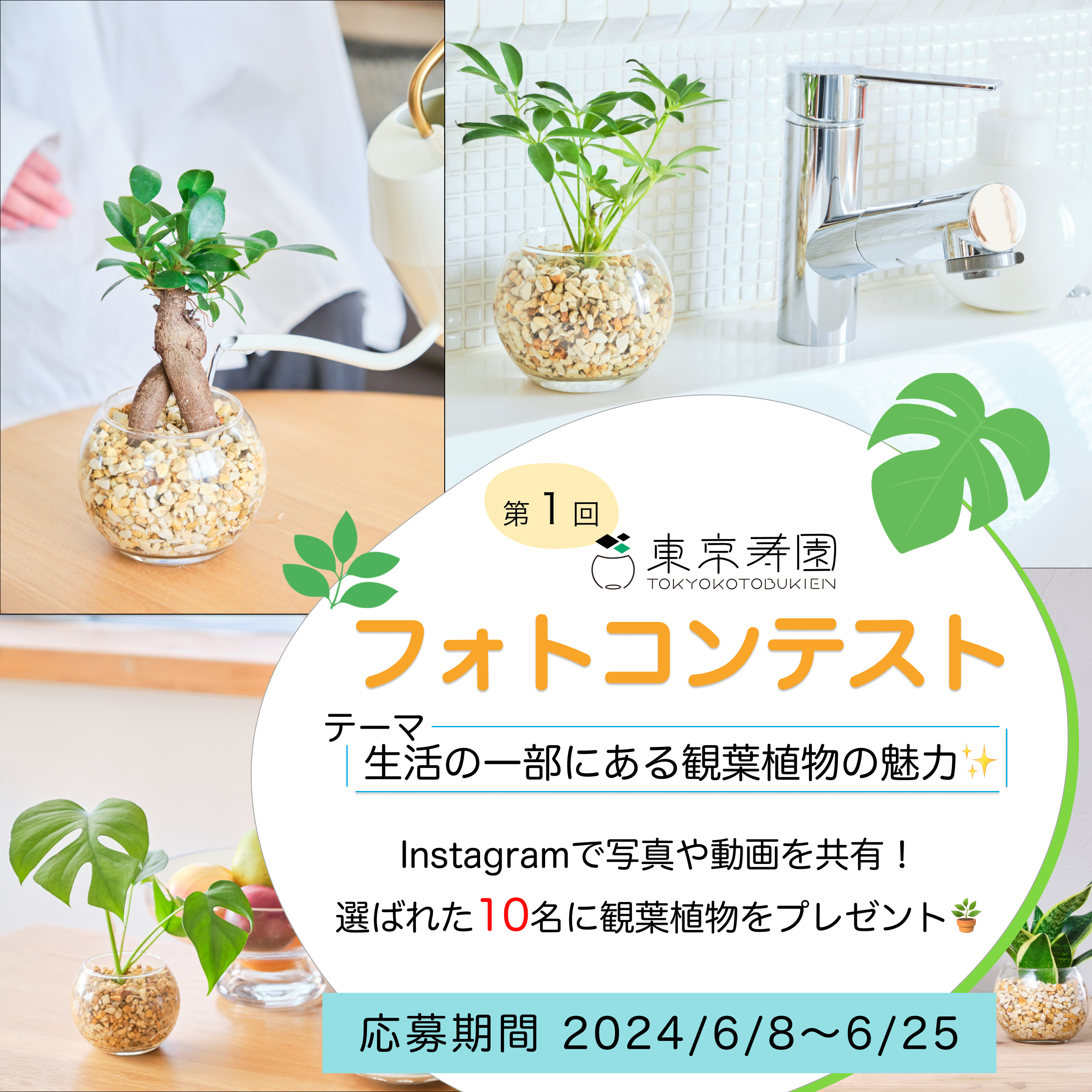 第１回東京寿園フォトコンテスト作品を募集！