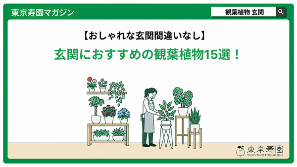 玄関におすすめの観葉植物15選！おしゃれな玄関間違いなし