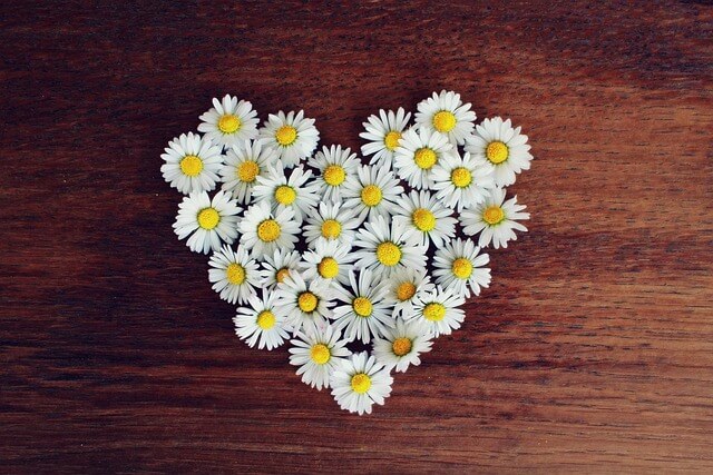 永遠の愛を伝える花言葉をもつ花7選！贈り物の体験談まで徹底紹介