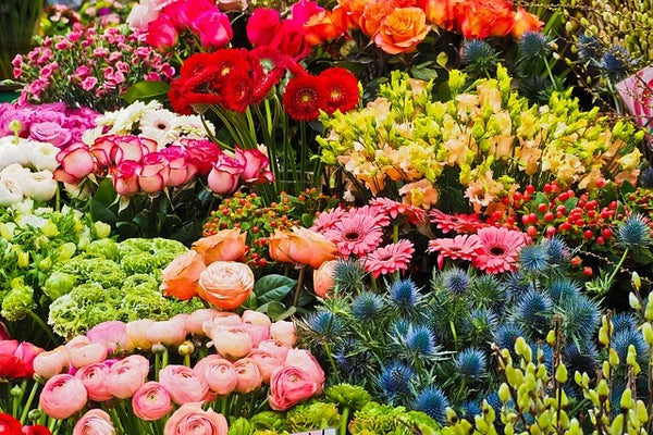 【フラワーデザイナー厳選】徳島にあるおしゃれでおすすめのお花屋さん6選