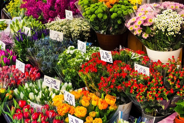 【フラワーデザイナー厳選】高槻にあるおしゃれでおすすめのお花屋さん17選