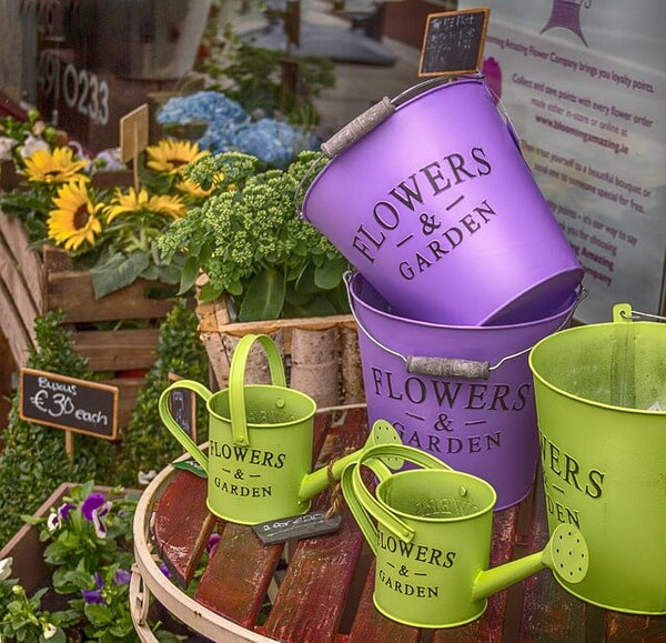 【めちゃおしゃれ】渋谷にある観葉植物専門店や園芸店11選