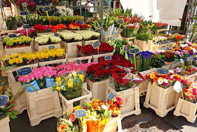 【フラワーデザイナー厳選】津田沼にあるおしゃれでおすすめのお花屋さん4選