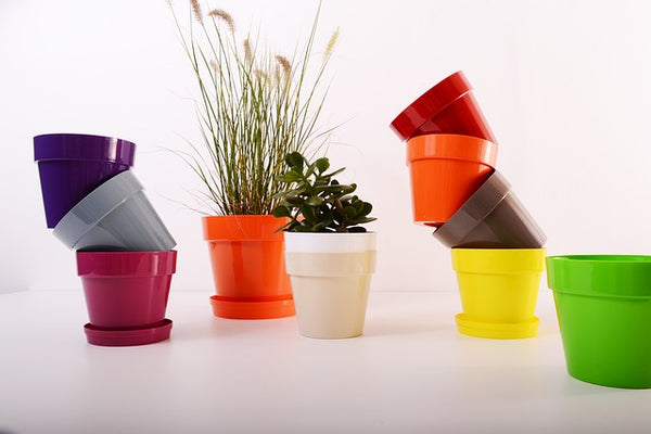 英国植木鉢プラスチック¥22000 英国植木鉢プラスチック¥22000 - メルカリ
