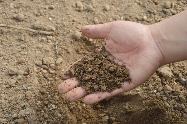 【2024年】堆肥のおすすめランキング10選を紹介！応用した使い方まで