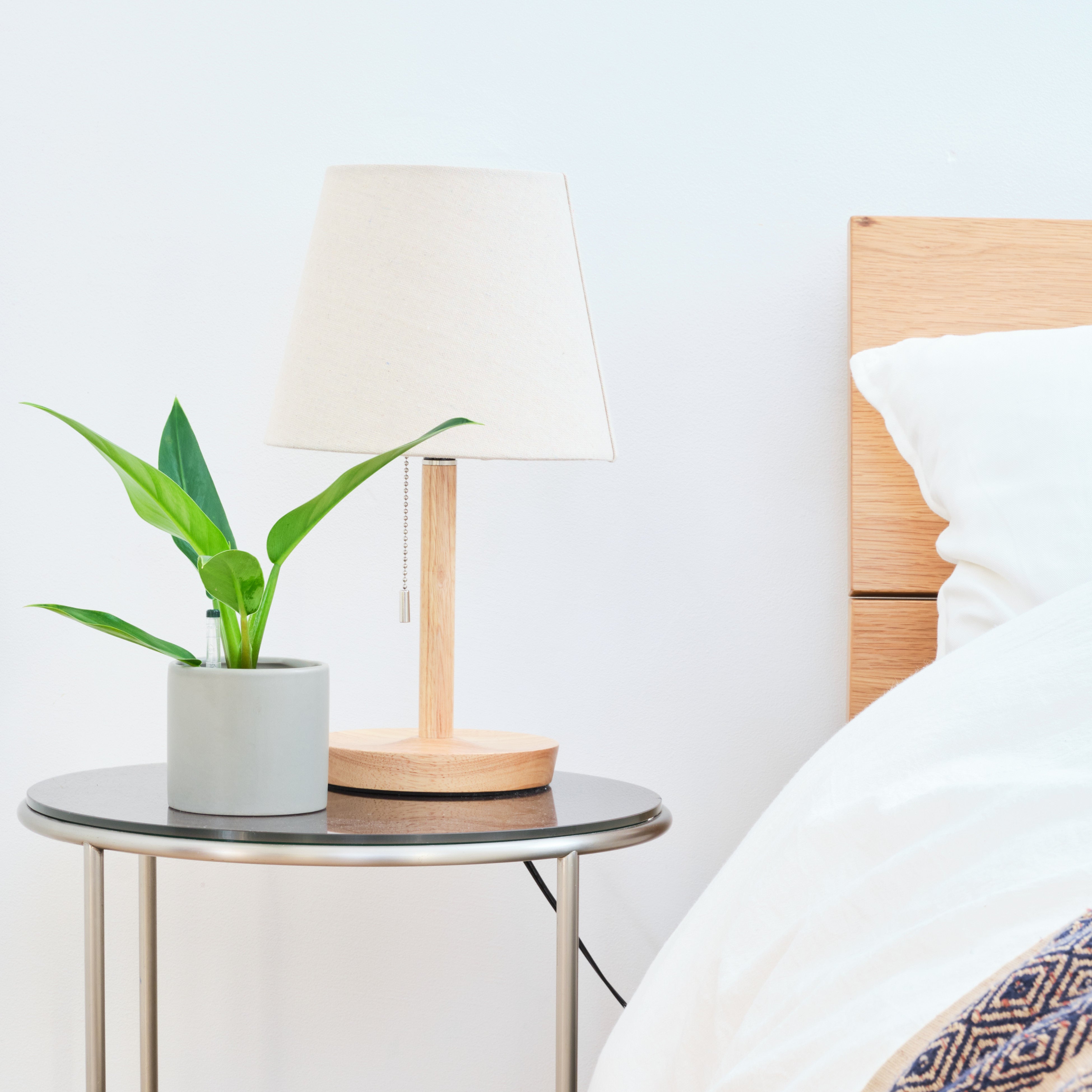 フィロデンドロン