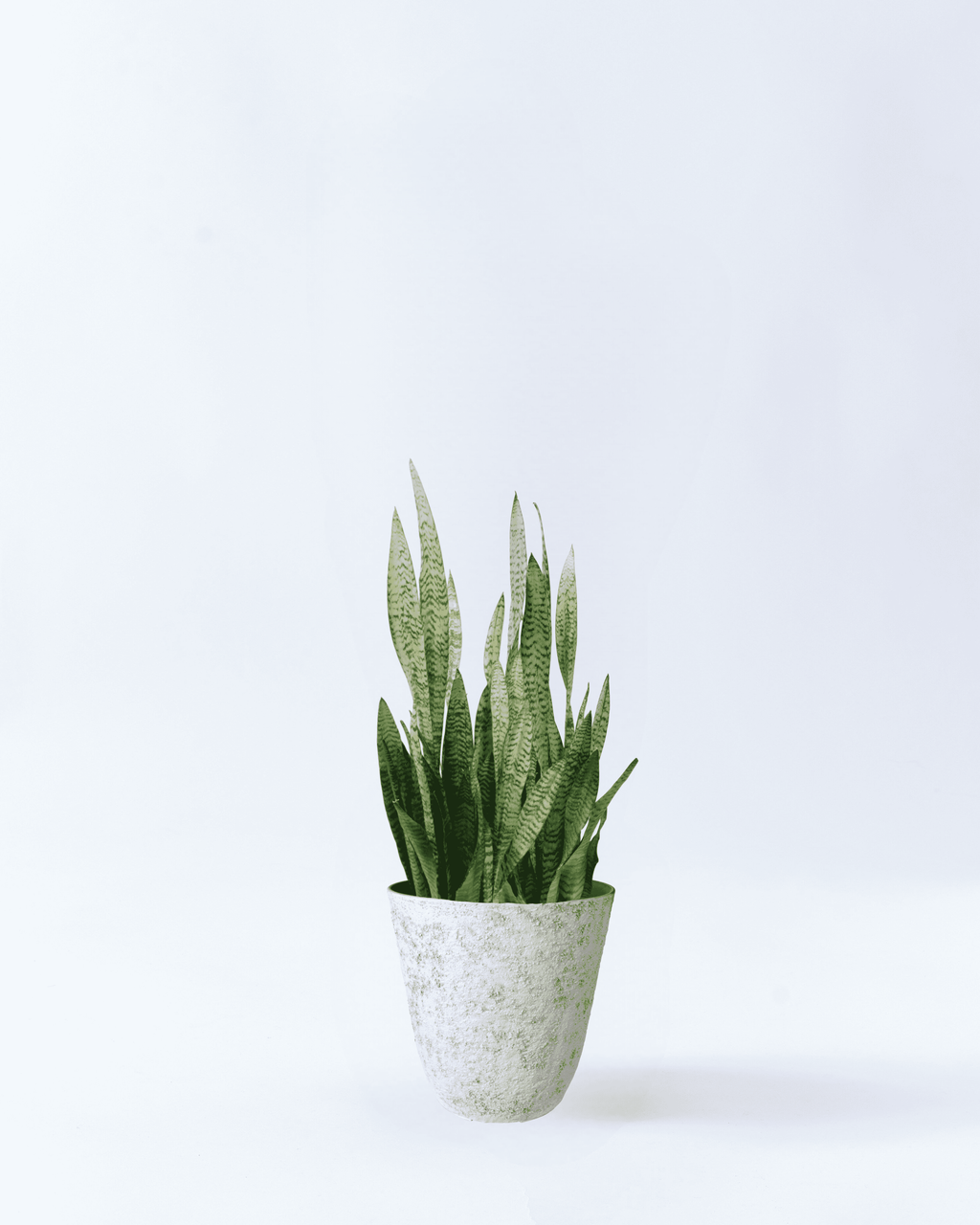 10_1024x.png?v=1707395937 10_1024x.png?v=1707395937