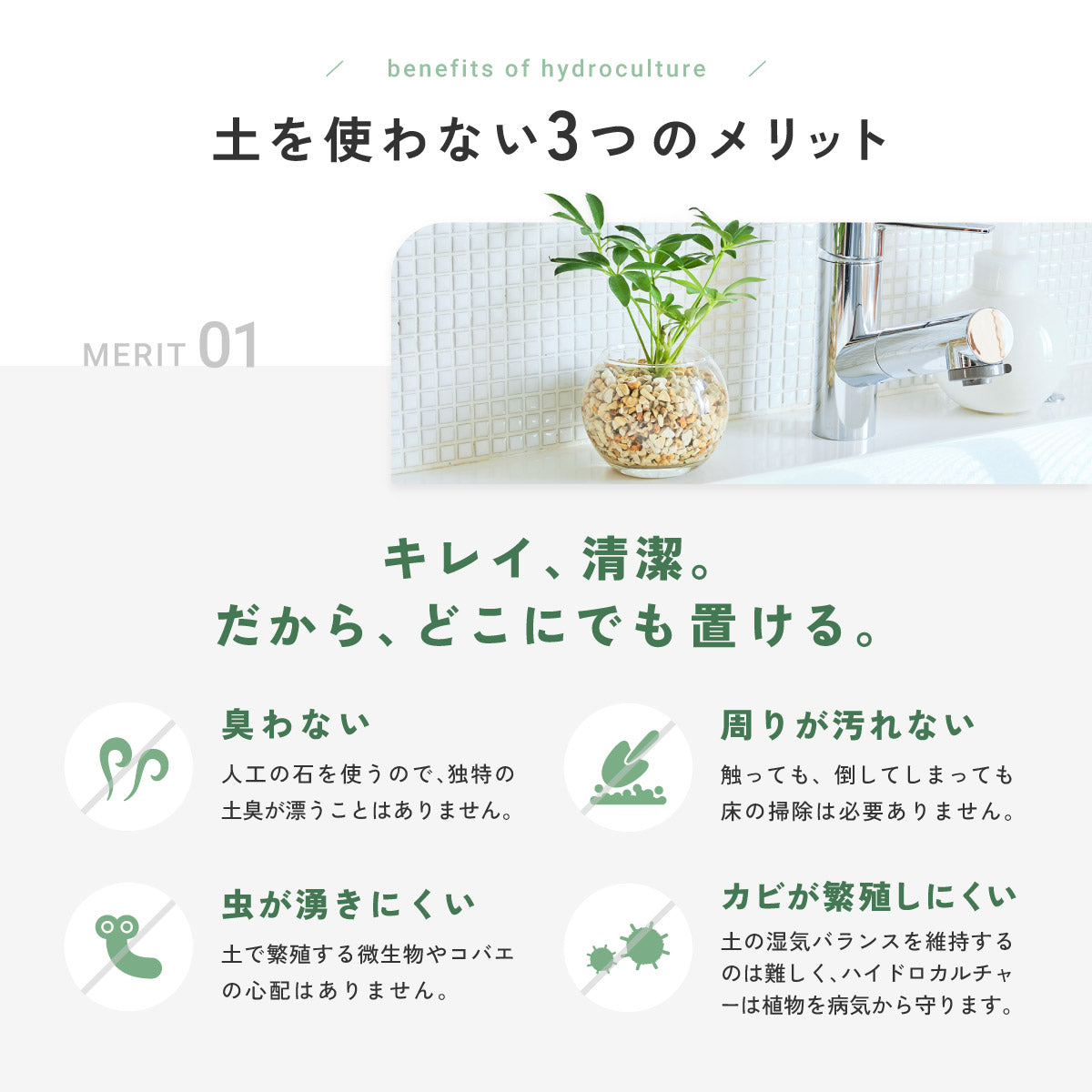 ガラスボールの育てるインテリア・選べる5点+栄養剤セット