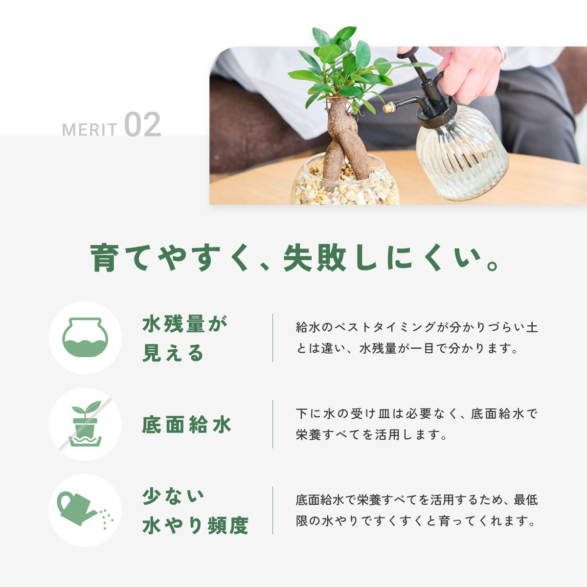 ガラスボールの育てるインテリア・選べる5点+栄養剤セット