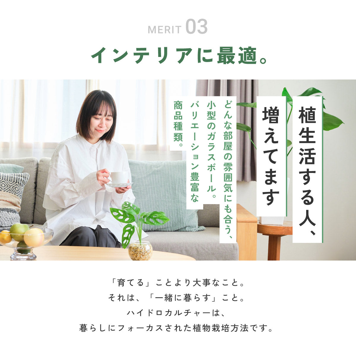 ガラスボールの育てるインテリア・選べる5点+栄養剤セット