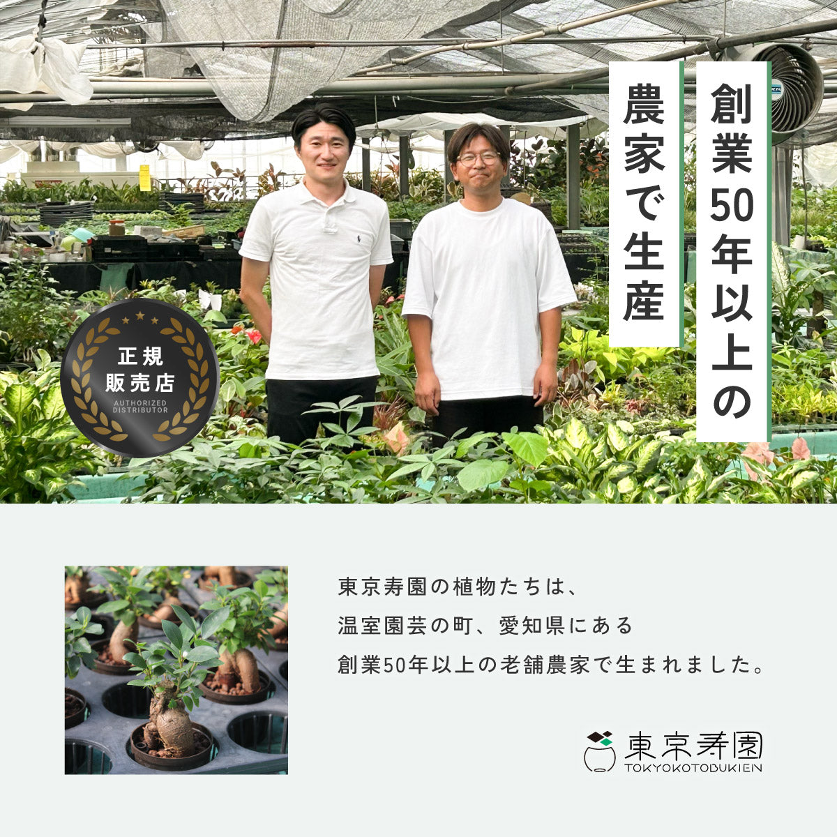 ガラスボールの育てるインテリア・選べる5点+栄養剤セット