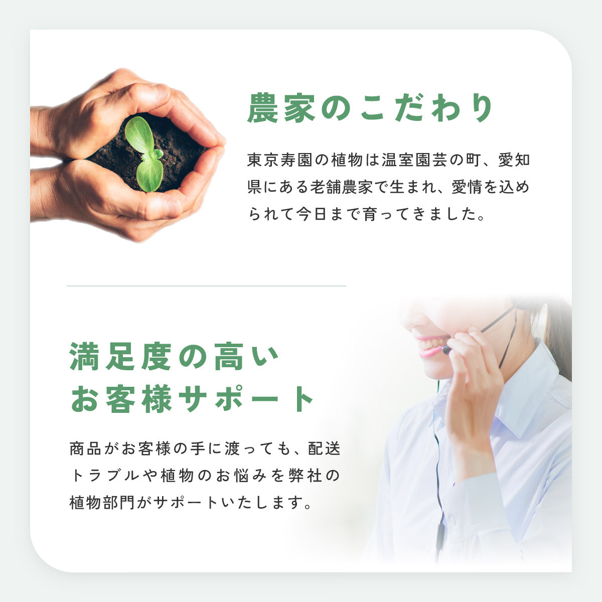 ガラスボールの育てるインテリア・選べる5点+栄養剤セット