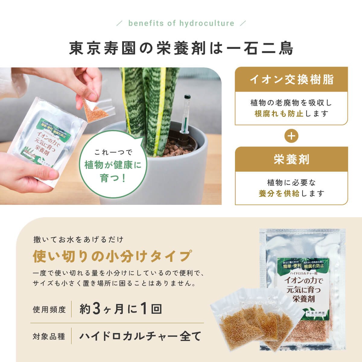 ガラスボールの育てるインテリア・選べる5点+栄養剤セット