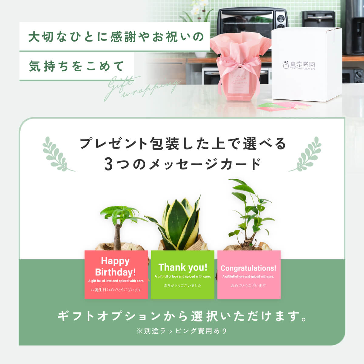 ガラスボールの育てるインテリア・選べる5点+栄養剤セット