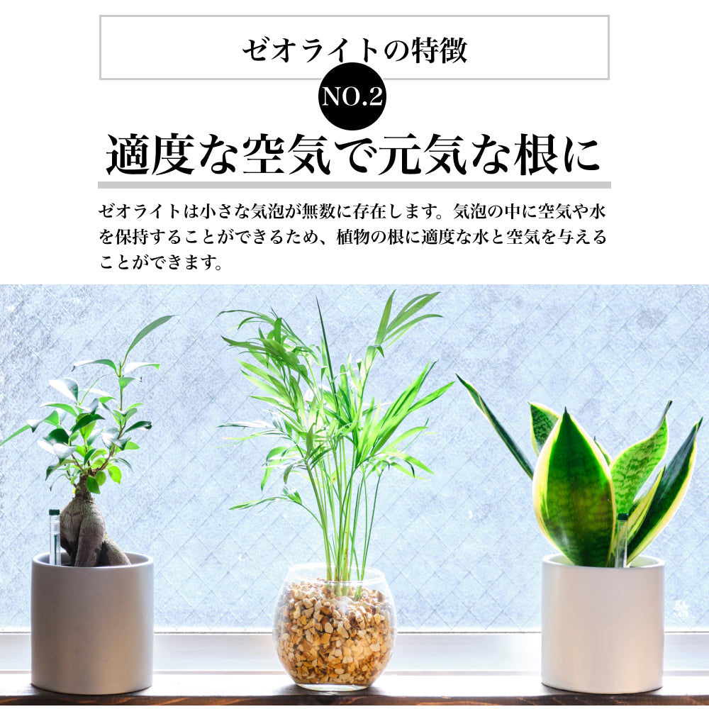 ゼオライト 2L  国産 天然 吸着 水質浄化 園芸 水槽 ハイドロカルチャー用