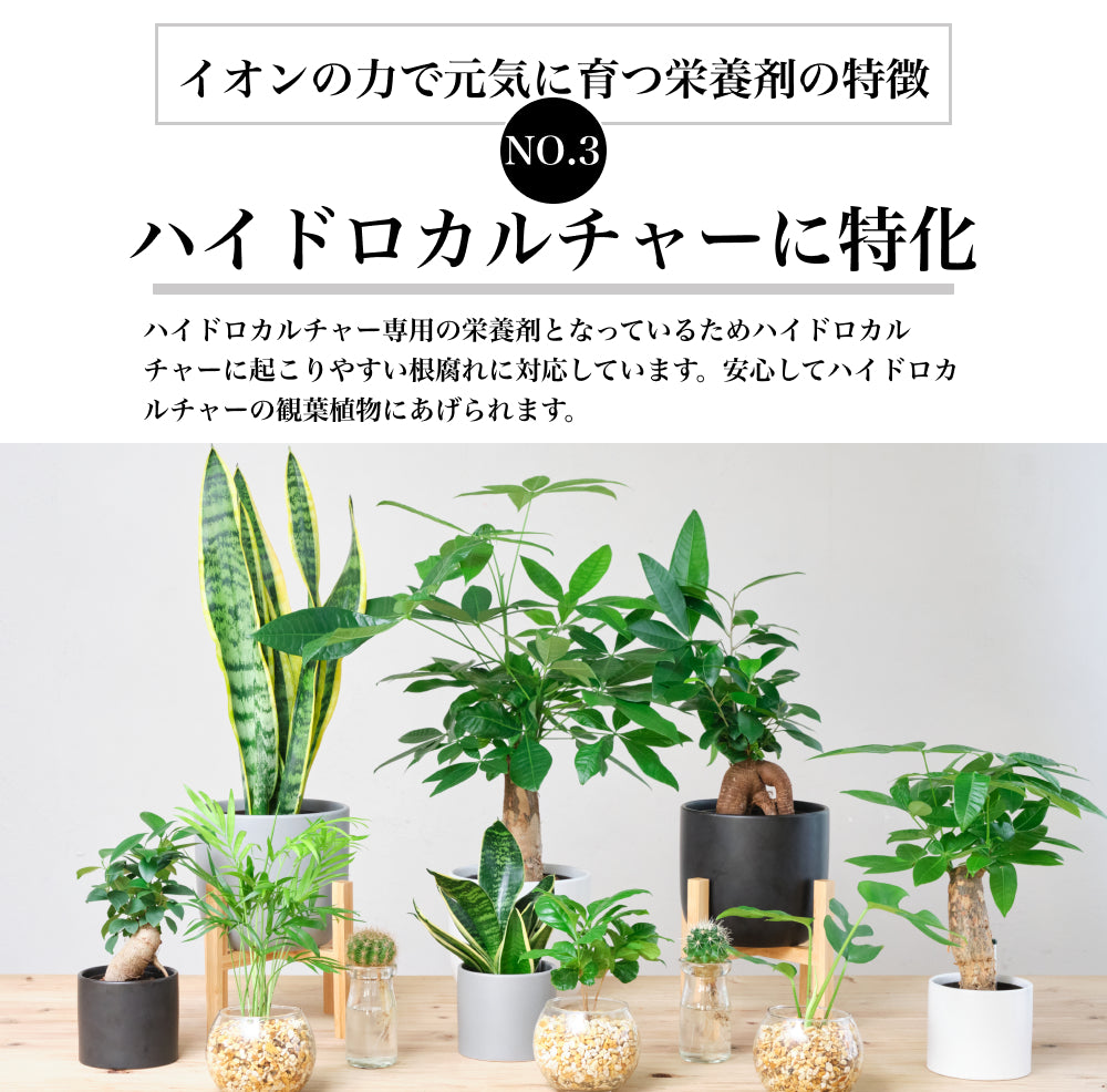 イオンの力で元気に育つ栄養剤 イオン交換樹脂栄養剤 観葉植物用 ハイドロカルチャー用 根腐れ防止剤 粒状肥料 顆粒