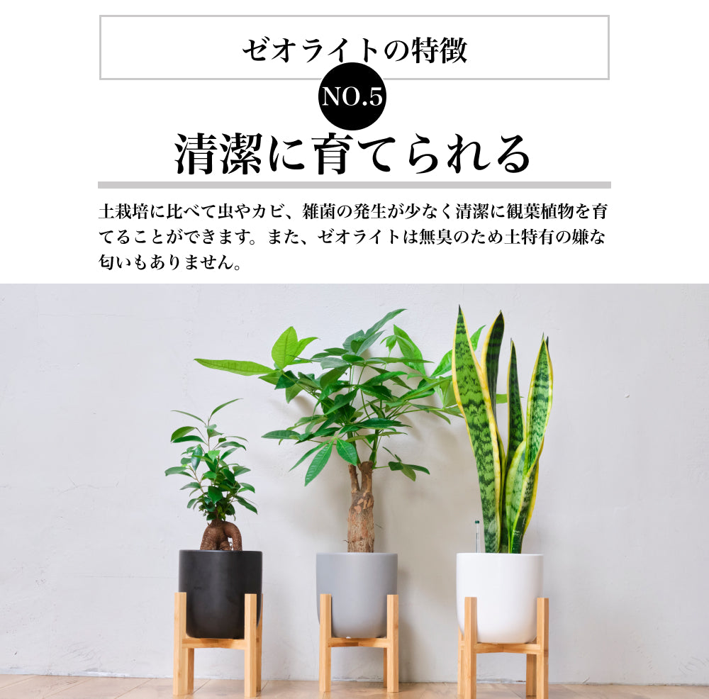 ゼオライト 2L 国産 天然 吸着 水質浄化 園芸 水槽 ハイドロカルチャー