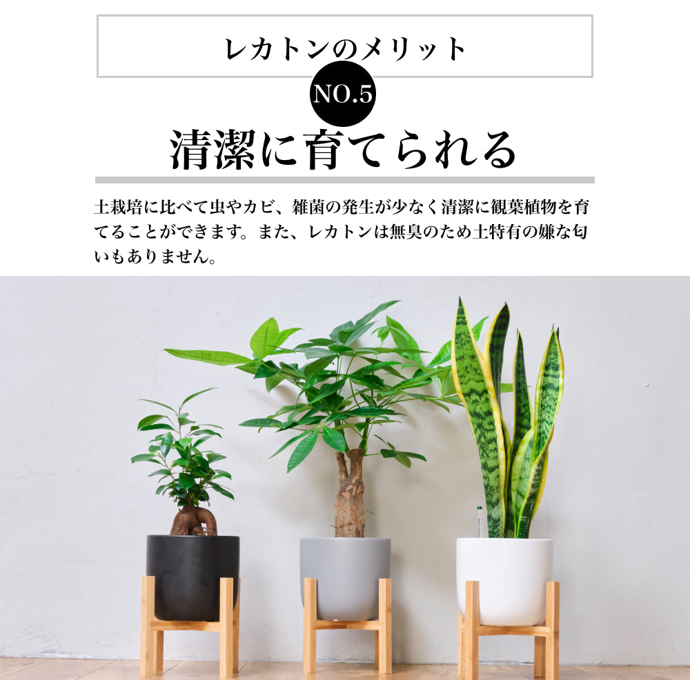 レカトン 2L 中粒(約5~8mm) ハイドロボール ハイドロカルチャー用 水耕栽培 水槽 再利用可能