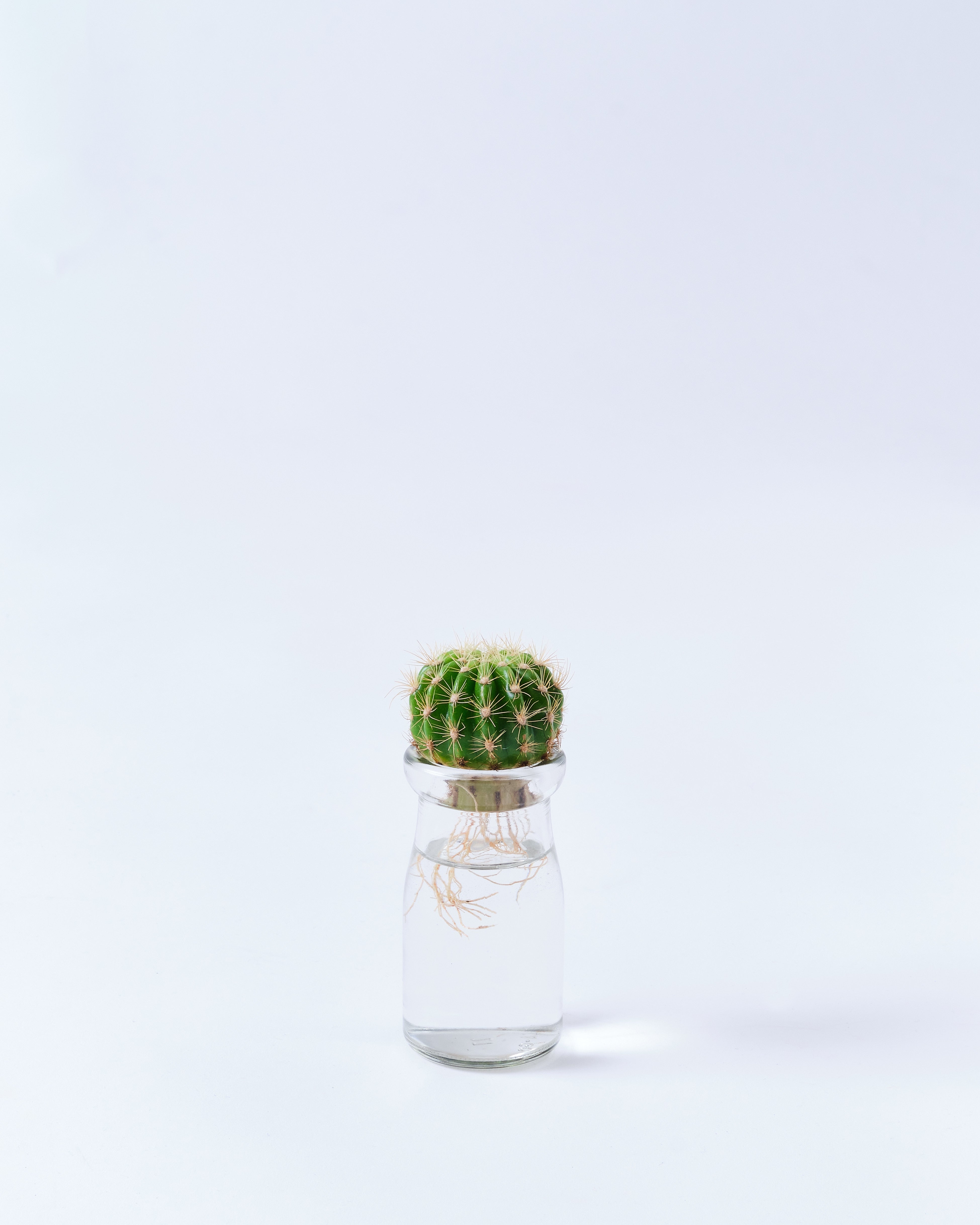 ガラス容器のキンセイマル