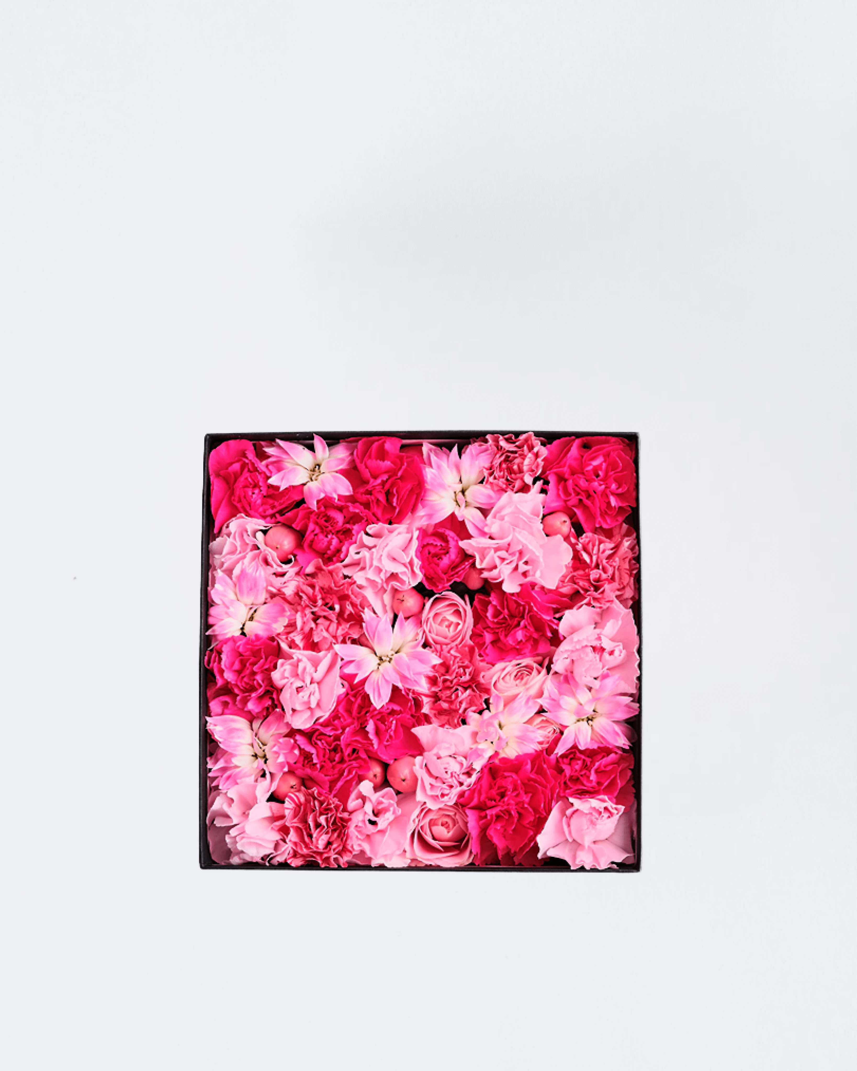 ギフトボックス＿ピンクmediam