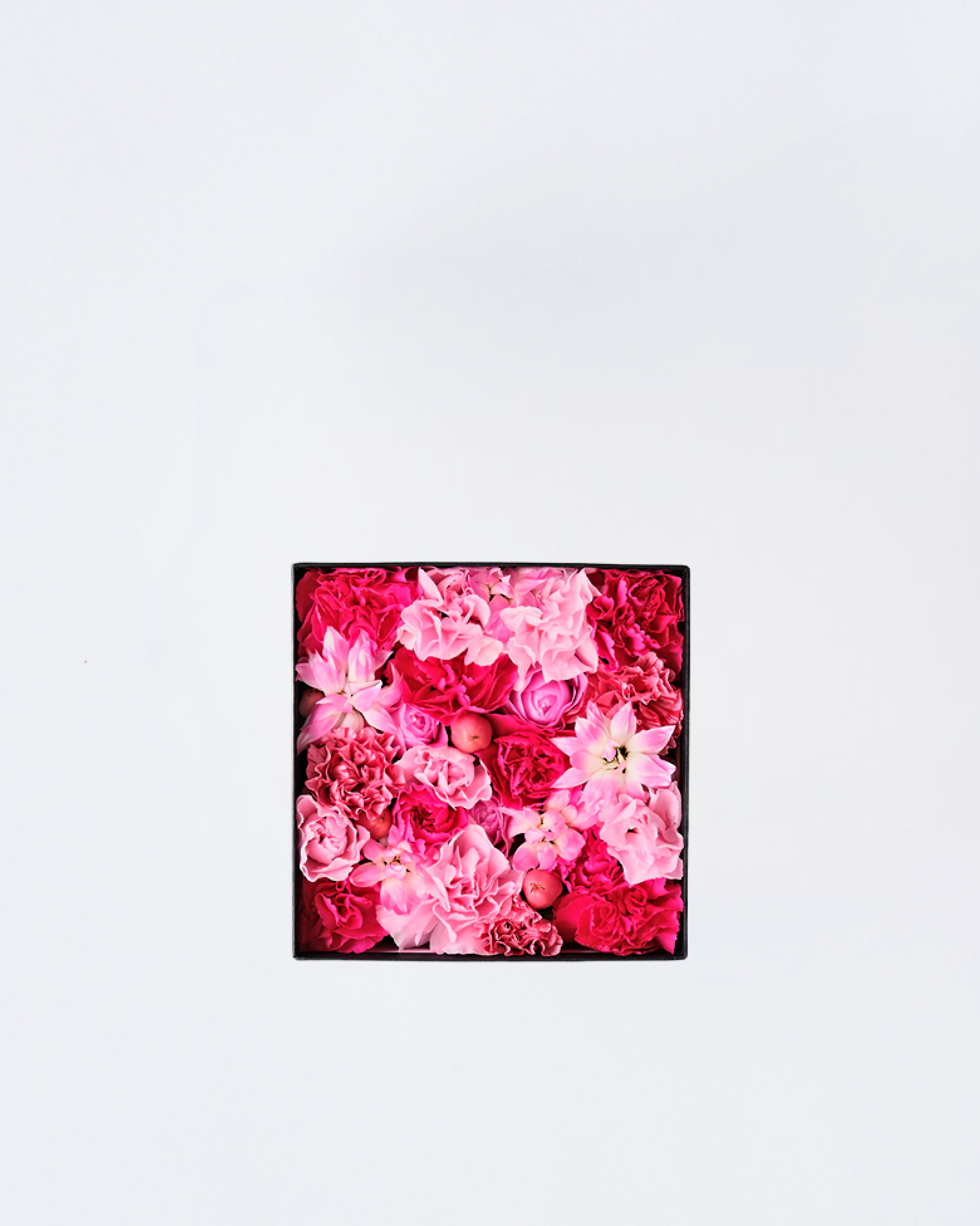 フラワーボックス フレッシュ ピンク Small FlowerBox fresh